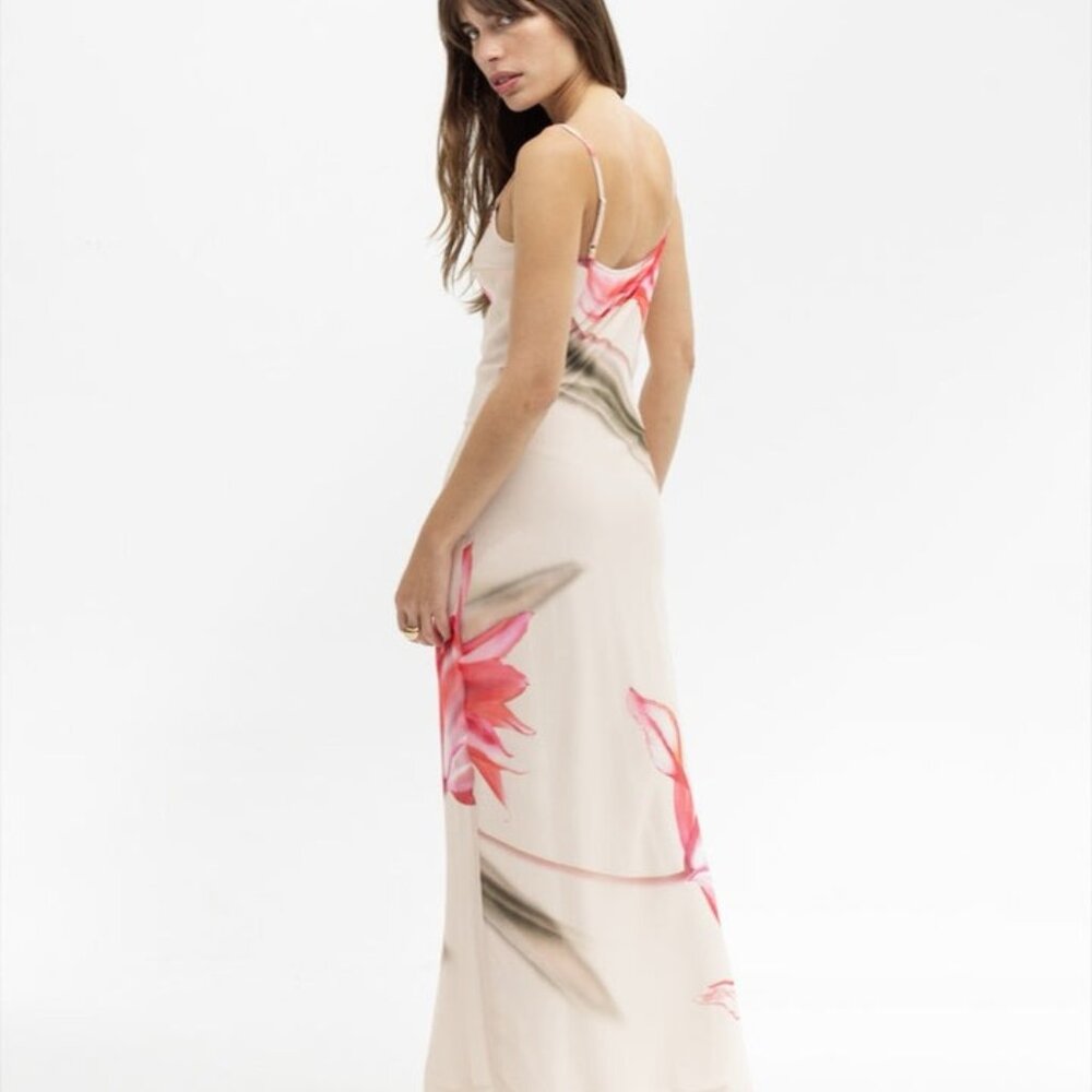 Like new Musier Paris Avina Dress in Nude With Rose Print pink floral maxi - Picture 2 of 14